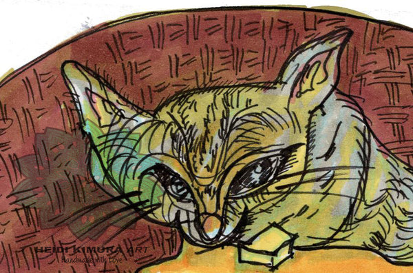 Pancake Grey Cat Kitten Cute Art Print - Designed and Made in the USA-Art Print-Heidi Kimura Art LLC